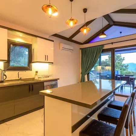 빌라 Oreo - 3 Bedroom Holiday With Jaccuzi In Yesiluezuemlue 페티예