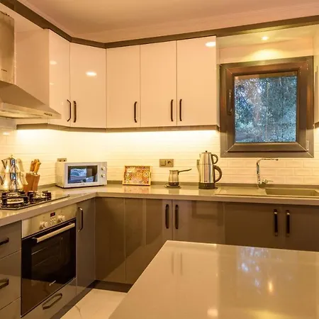 Βίλα Oreo - 3 Bedroom Holiday With Jaccuzi In Yesiluezuemlue *
